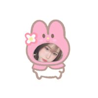 yuan.not.yu