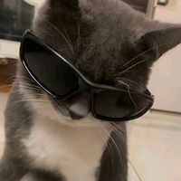 carl_lysx0