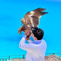 ahmedzaher999