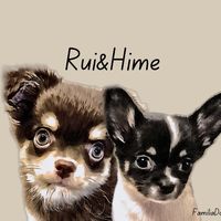 ruihime_48
