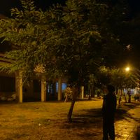 sonido original - anibal