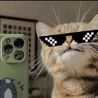 nhạc nền - ♣❕Žáÿăř Lîñ Ĥțêț''❗♠