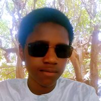 ali2351177
