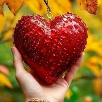 rose_lily_jasmine