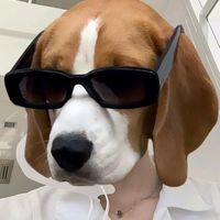 เสียงต้นฉบับ - Jaaryong