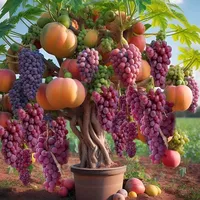 original sound - natukunndaeleth