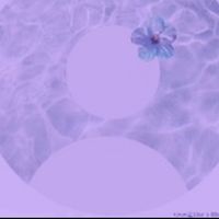 shirel.pencr