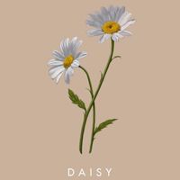 daisy.reviews1