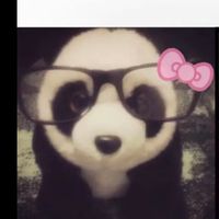 urfavcase.x
