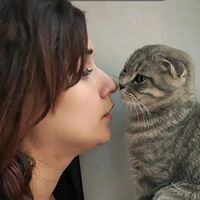 qara_bextli_ilahem