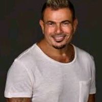 fan.amr.diab