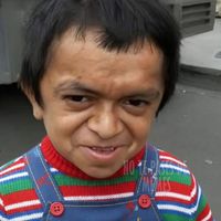 vagozandoo