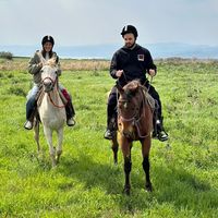 liavbohbot