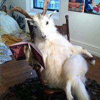 briannasbooksandfilms