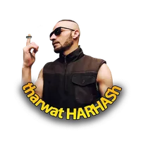 original sound - tharwat_r_harhash