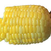 dy0nr69it31v