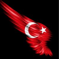 orijinal ses