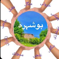 boshehra_official1
