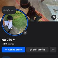 no.zin28