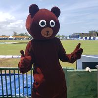 piru.bear