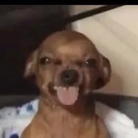 para sa mga broken