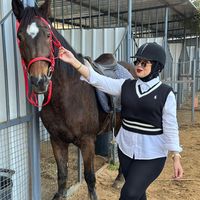 hiba_silami