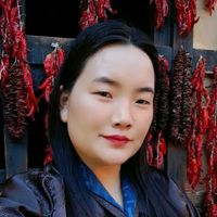 jigme894