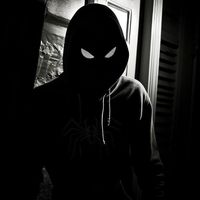 compa_spider
