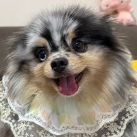 namnoawww