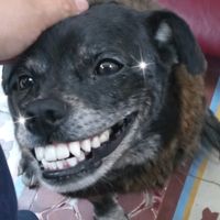 vero_07094