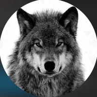 original sound - krik___44