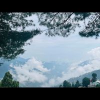 naturemuse4