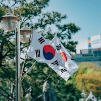 yonsei.universityy