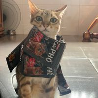 nhạc nền - Muối tiêu