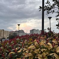 glsmbagirova_