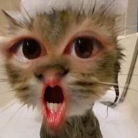 nhạc nền - HoàngLinh