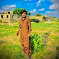zafar_baloch7860