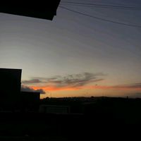 alechinsitofeka_08