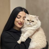 lala.mehdieva