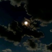 user674_4764