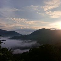suara asli - 🐜semut kecil🐜