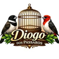 passarocuriosos