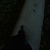 mario._897