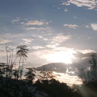 suara asli - 🇵🇸FIFI |SULSEL🇮🇩