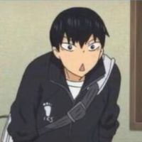 idbcheks