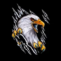 original sound - falcon_story1