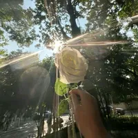 original sound - wwhtet01