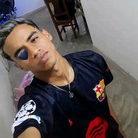 carlosdavid1077