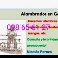 nicolas.peraza0