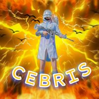cebris.pubg
